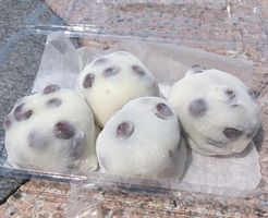 出町ふたば 名代 豆餅