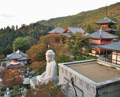 壺坂寺