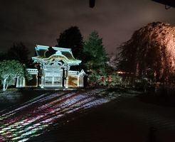 高台寺　ライトアップ