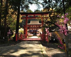 丹生都比売神社