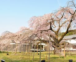 醍醐寺　霊宝館