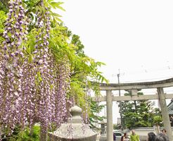 三大神社