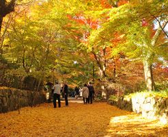 湖南三山 長寿寺