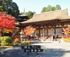 常楽寺