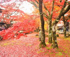 永源寺