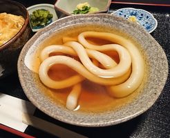 たわらや　一本うどん