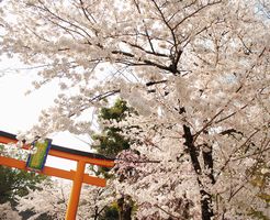 平野神社