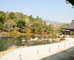 【天龍寺】嵐山を借景にした美しい庭園