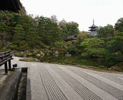 【仁和寺】朝廷の雅を今に残すお寺