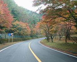 比叡山ドライブウェイ